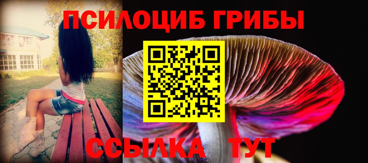 Лосино-Петровский  Псилоцибиновые грибы Psilocybine cubensis  Вход с VPN  Галлюциногенные грибы Magic Shrooms 